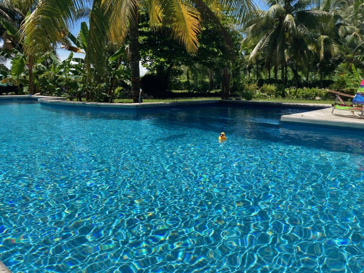 Sand Dollar Beach Bed & Breakfast Bocas Town Ngoại thất bức ảnh