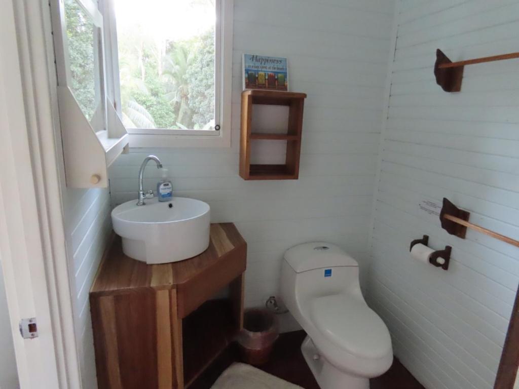Sand Dollar Beach Bed & Breakfast Bocas Town Ngoại thất bức ảnh