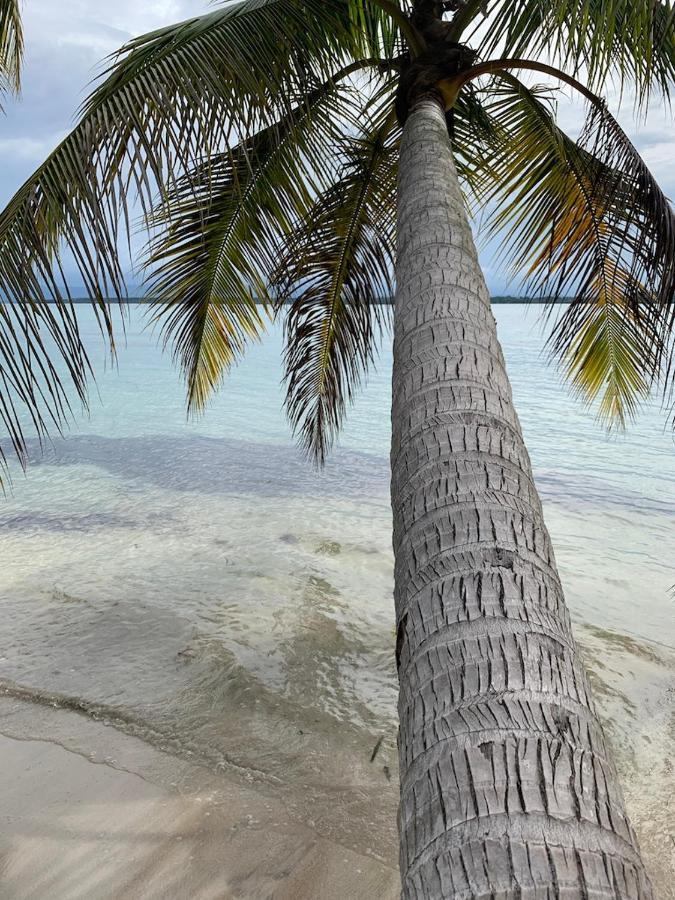 Sand Dollar Beach Bed & Breakfast Bocas Town Ngoại thất bức ảnh
