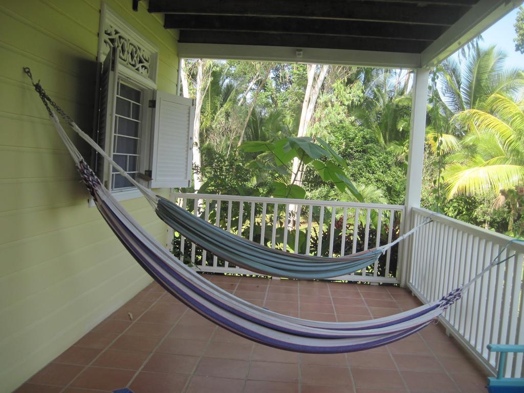 Sand Dollar Beach Bed & Breakfast Bocas Town Phòng bức ảnh