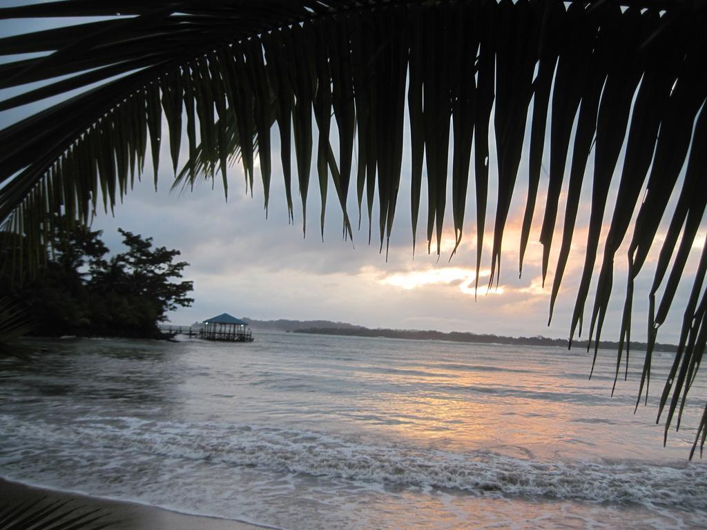 Sand Dollar Beach Bed & Breakfast Bocas Town Ngoại thất bức ảnh