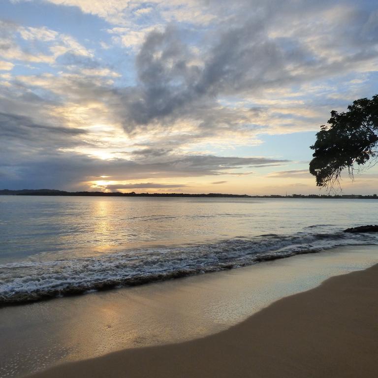 Sand Dollar Beach Bed & Breakfast Bocas Town Ngoại thất bức ảnh