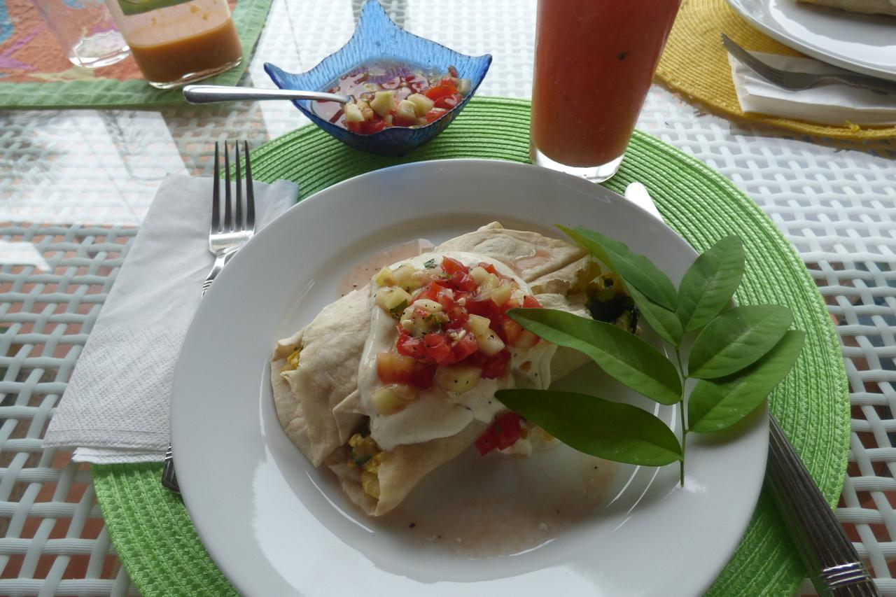 Sand Dollar Beach Bed & Breakfast Bocas Town Ngoại thất bức ảnh